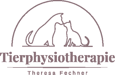 tierphysiotherapie-theresa-fechner